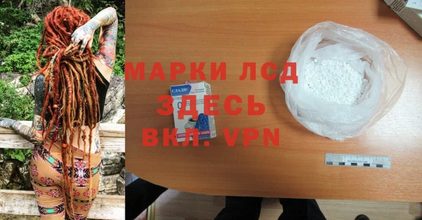 индика Сосновка